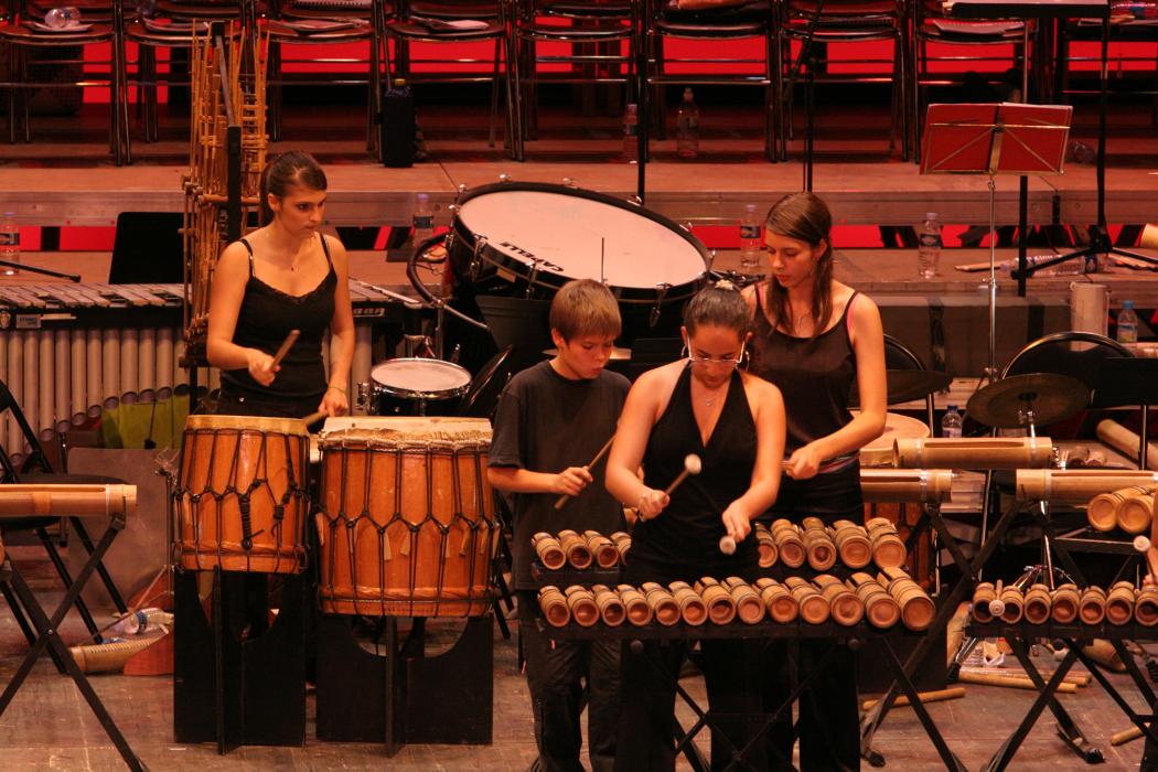 Musique, percussions classiques / batterie